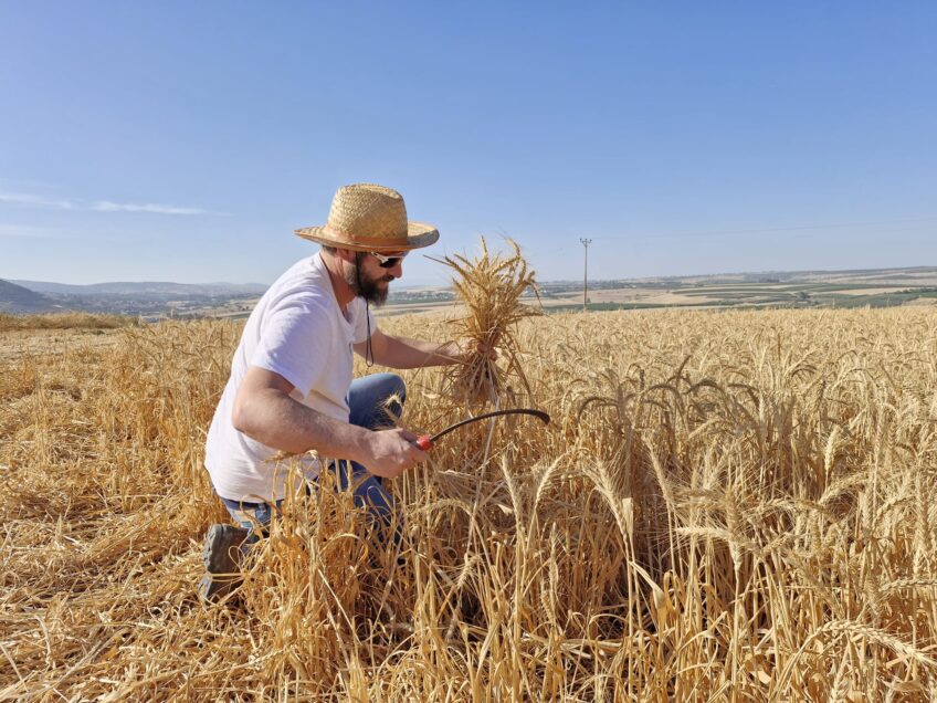 חינוך לקיימות במועצה האזורית עמק יזרעאל: הסתיימה בהצלחה השתלמות חדשנית לאנשי ונשות חינוך