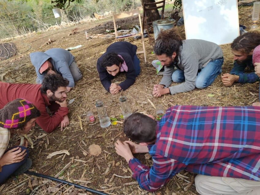 תכנית חדשנית במֵאֲדָמָה: חינוך חקלאי-מדעי שמחבר בין שורשים וחדשנות