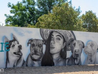 יום אימוץ כלבים לזכר שני גבאי שנרצחה במסיבת הנובה