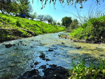 נופים, טבע, סיפורים, והרבה אוויר טוב: איפה מטיילים בחגי תשרי?