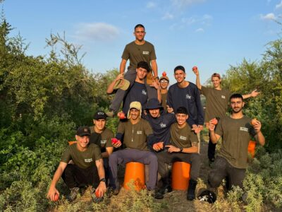 שירבו זכויותינו: מכיניסטים שמתנדבים בארגון "חיבורים בחקלאות" יצאו בעלות השחר לקטוף רימונים בשדה אליהו