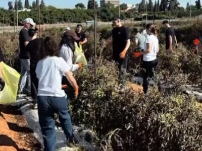 "אהבת הארץ היא דרך חיים": תלמידי ויצו ניר העמק התנדבו במושב צופית – באירוע מחבר לזכרו של סהר אשואן ז"ל