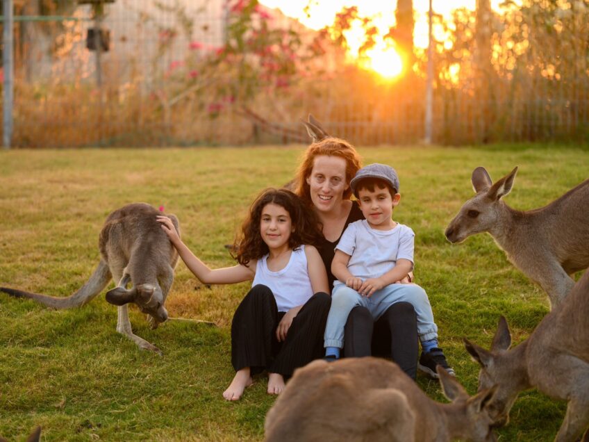 סיורי הערב של גן גורו: חוויה חושית בעולם בעלי החיים בשעות החשיכה