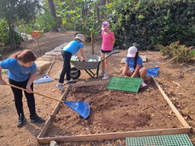 חיזוק המגוון הביולוגי: זריעת פרחי הבר הגדולה בעמק יזרעאל