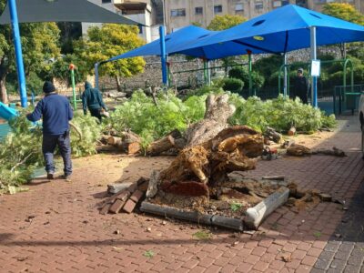 אגף שפ"ע במגדל העמק פועל מסביב לשעון בימי החורף: מענה מהיר ומקצועי לשמירה על ביטחון התושבים