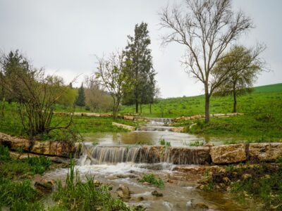 במרחק קליק: המדריך המלא על "שביל מגידו" במקום אחד
