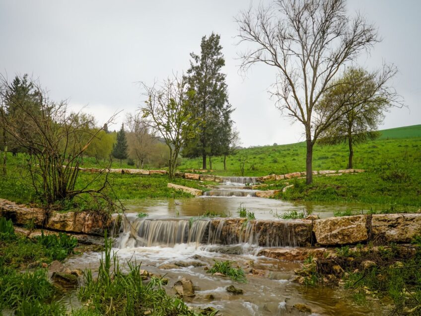 במרחק קליק: המדריך המלא על "שביל מגידו" במקום אחד