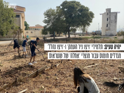 תלמידים מויצו ניר העמק ונהלל מגדלים חומוס עבור 'שטראוס' – בשיתוף עם חקלאי האזור