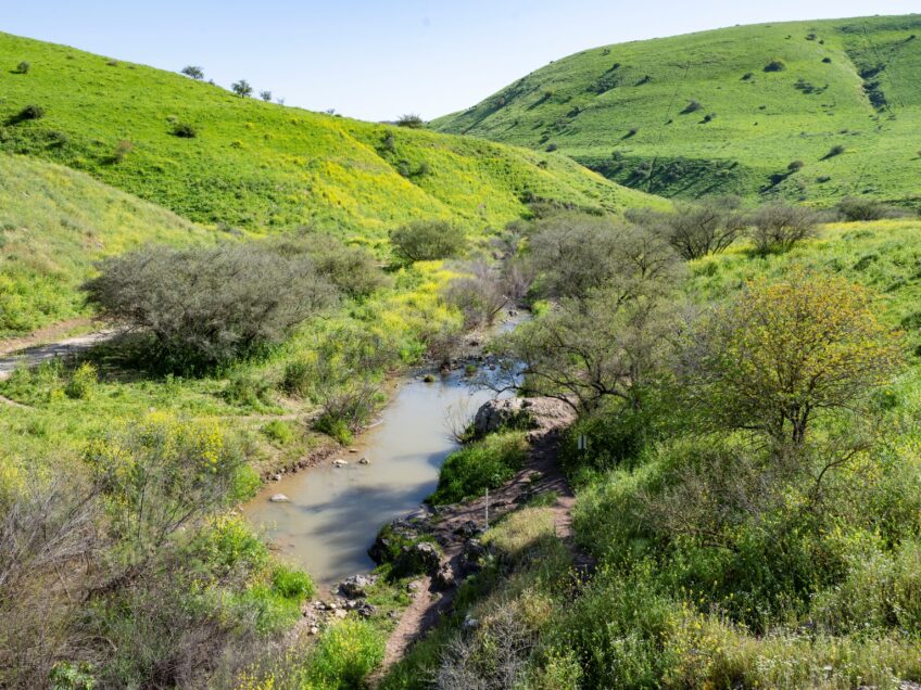 "מחובתנו להמשיך לצמוח": ישיבה חגיגית ומחזקת במליאת רשות ניקוז ונחלים ירדן דרומי