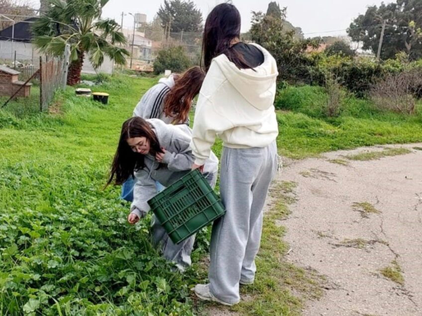 תלמידי ויצו ניר העמק במפגש מחוזי בכפר הירוק ‎