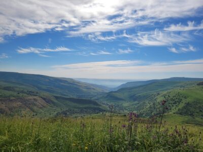 שמורות נחל תבור, נחל יששכר, אלות סירין והר יבניאל נסגרות זמנית בשל מחלת הפה והטלפיים