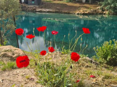 בצל הפסקת האש: הגנים הלאומיים באזור נפתחו מחדש – שמורת הטבע נחל תבור עדיין סגורה