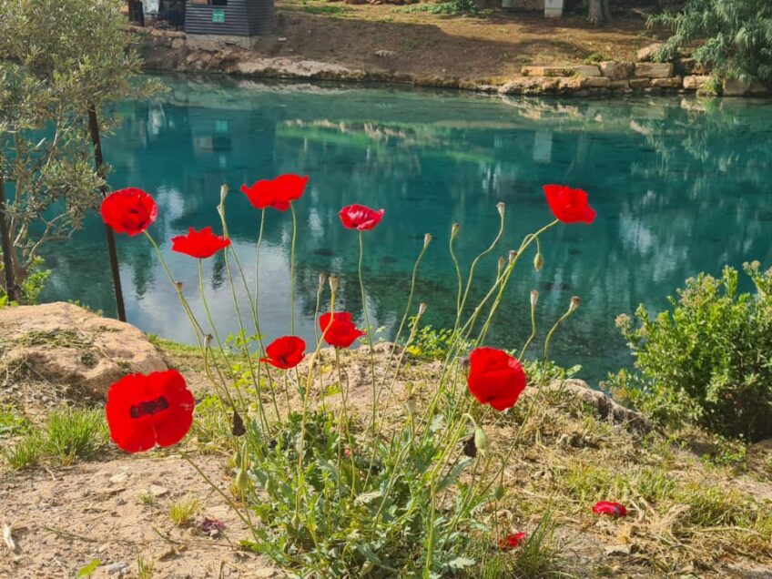 בצל הפסקת האש: הגנים הלאומיים באזור נפתחו מחדש – שמורת הטבע נחל תבור עדיין סגורה