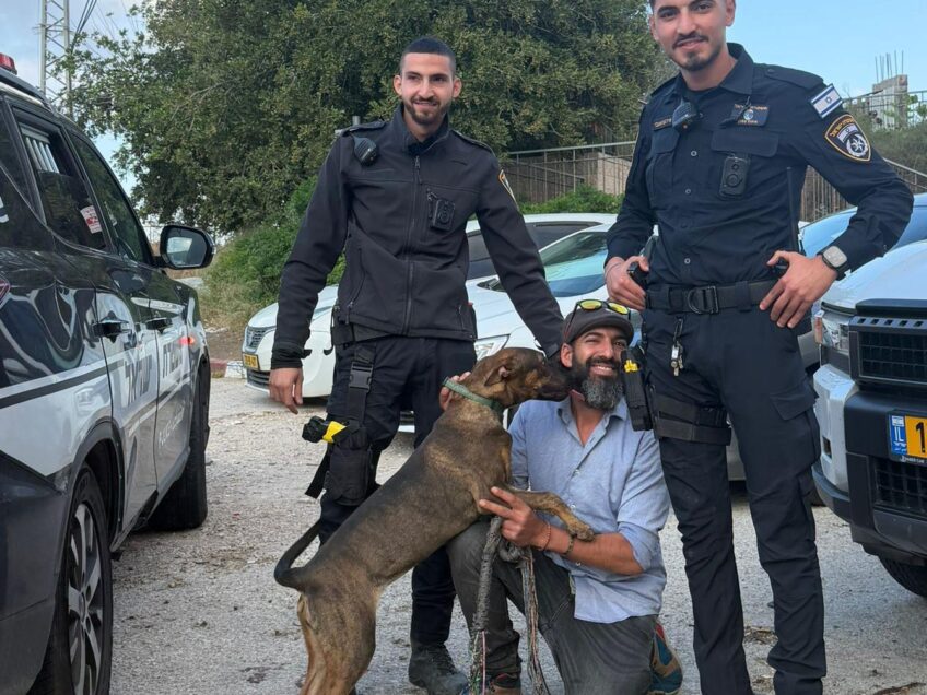 חשוד בגניבת כלב נעצר בפעילות משותפת של מג״ב ומשטרת מגדל העמק