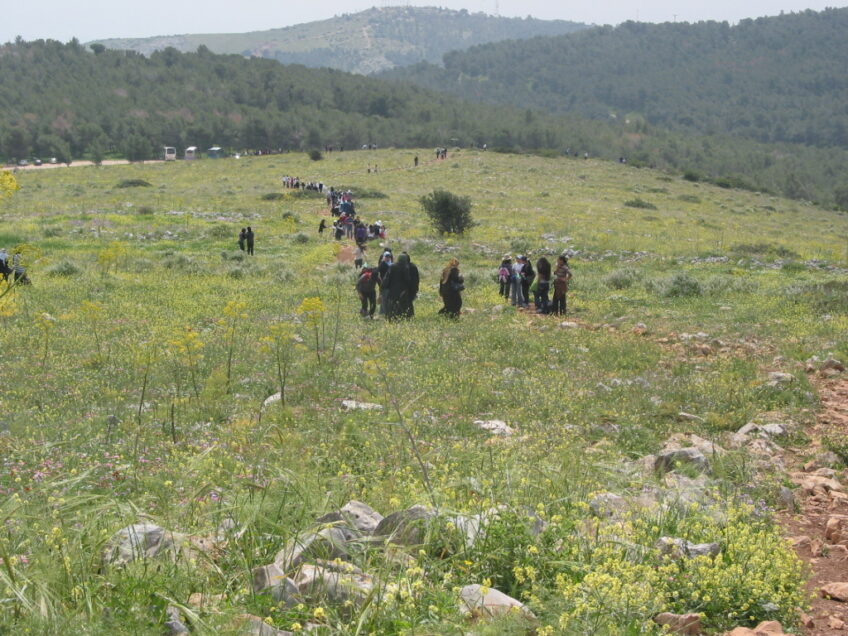 בין התנ"ך לנוף המשכר: יצאנו לטיול ברכס הכי יפה בארץ וחזרנו עם המלצות ל-3 מסלולים מנצחים
