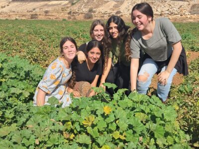 מסכים בצד, ידיים באדמה: הנוער מעמק המעיינות שמתנדב בשדות בחופש הגדול