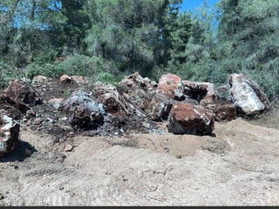 שוד משאבי טבע לאור יום: חשוד נתפס בעת גניבת אבנים טבעיות מיער קק"ל באזור