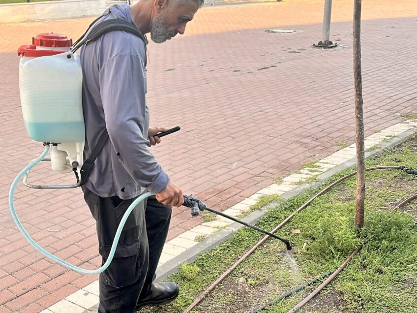 עפולה: עושים פסח בראש השנה
