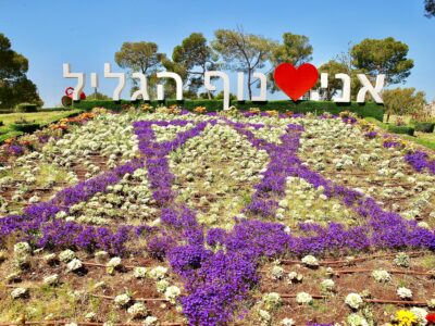 מי יהיו יקירי נוף הגליל בשנת ה – 70?