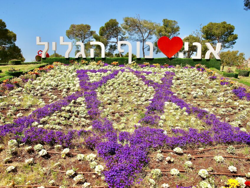 מי יהיו יקירי נוף הגליל בשנת ה – 70?