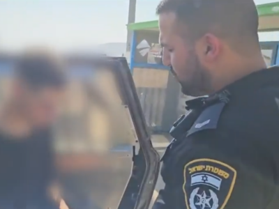 חשד: תושב האזור תפס חתול מזנבו והטיח אותו על הריצפה מספר פעמים
