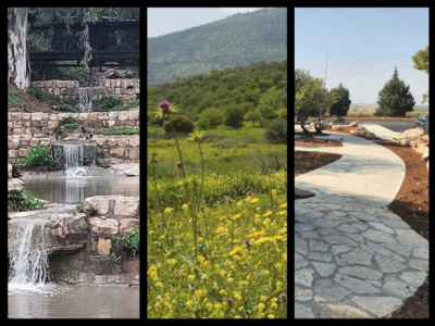 מתחילים בקלפי ואז בוחרים בטבע: 3 יעדים חינמיים לטיול משפחתי ביום הבחירות